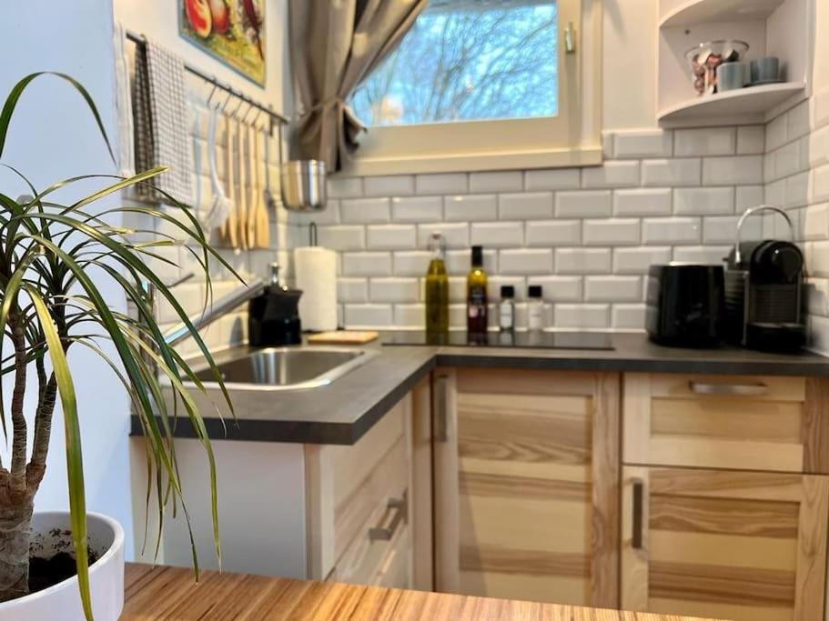 Studio Cosy Et Fonctionnel Entre Saule Et Lilas 빌라르 드 랑 외부 사진